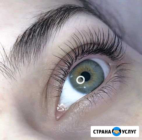 Обучение на ламинирование и ботокс ресниц Иваново - изображение 1