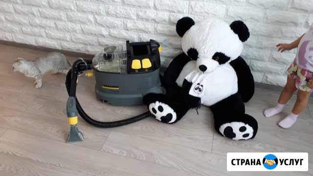 Моющий пылесос Karcher на сутки Тюмень - изображение 1
