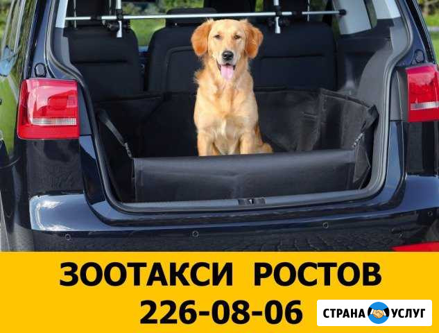 Зоотакси Ростов. Перевозка домашних животных Ростов-на-Дону - изображение 1