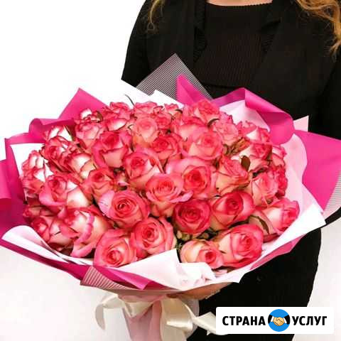 51 роза Подольск - изображение 1