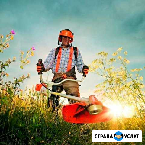 Покос травы Крымск - изображение 1