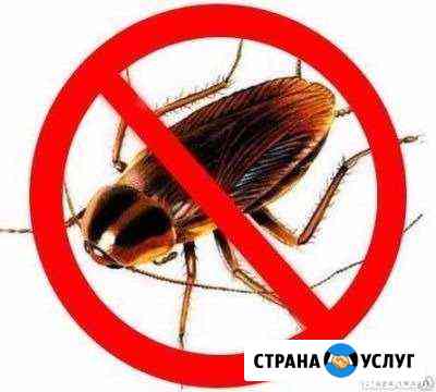 Уничтожение клещей,насекомых и т.д Новокузнецк