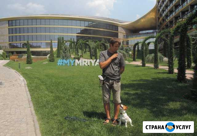 Дрессировка собак в Ялте Ялта - изображение 1