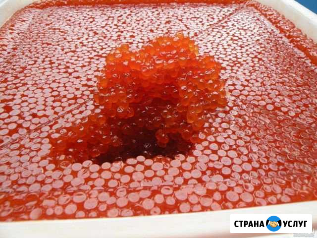 Икра кеты,горбуши,чавычи 2019г опт Бийск - изображение 1