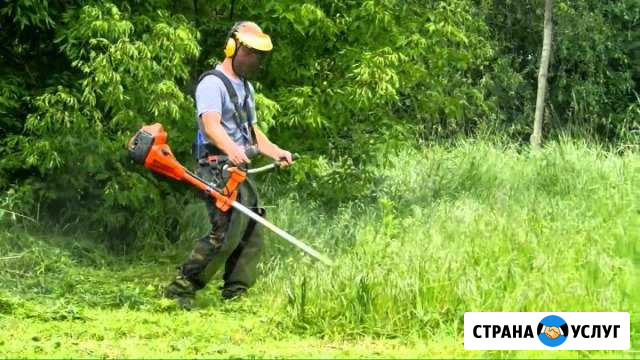 Покос травы Каменск-Шахтинский - изображение 1
