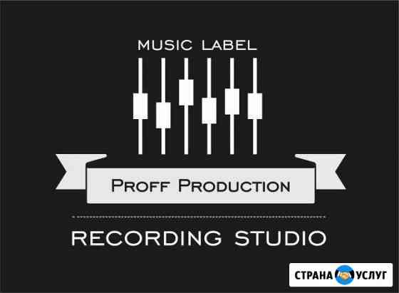 Запись голоса (Поздравление,Песни,Стихи) ProffToys Омск