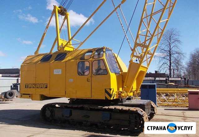 Услуги крана Рдк 250 Пенза - изображение 1