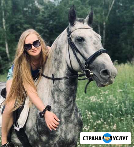 Конный спорт. Верховая езда. Фотосессии Воскресенское - изображение 1