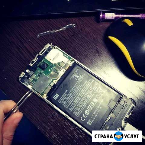 Мультипрограммист Грозный - изображение 1