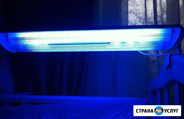 Прокат лампы от желтушки новорожденных Когалым - изображение 1