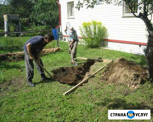 Помощь по дому Большой Лог - изображение 1
