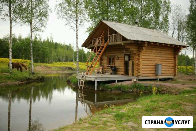 Рубленная баня на дровах с соляной парной Санкт-Петербург - изображение 1