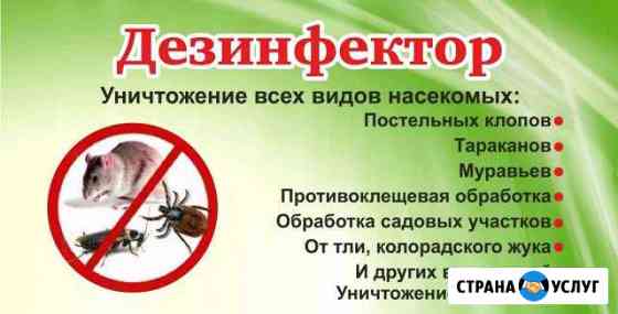 Уничтожение насекомых: тараканов, клопов, грызунов Магнитогорск