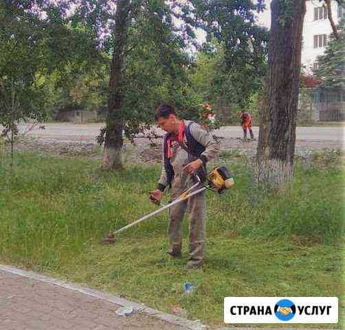 Покос травы, уборка территории дома, террасы Краснодар