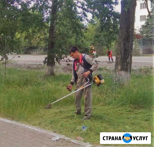 Покос травы, уборка территории дома, террасы Краснодар - изображение 1