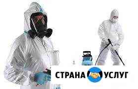 Травим тараканов, клопов, блох и др. Гарантия 100 Ростов-на-Дону