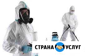 Травим тараканов, клопов, блох и др. Гарантия 100 Ростов-на-Дону - изображение 1