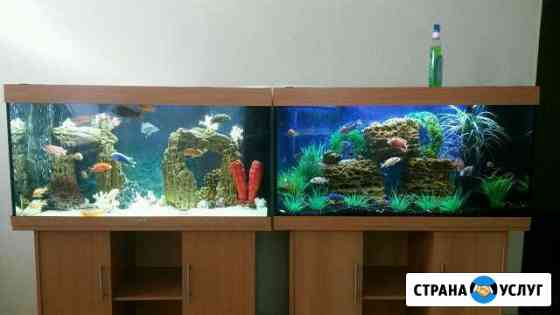Изготовление/Установка/Декорирование/Обслуживание Люберцы