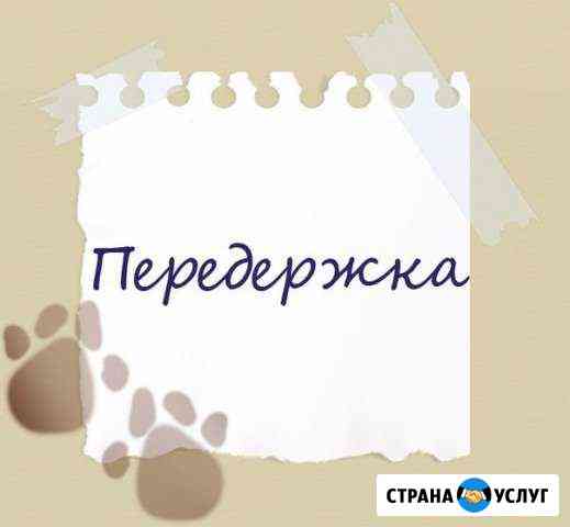 Передержка животных Иркутск