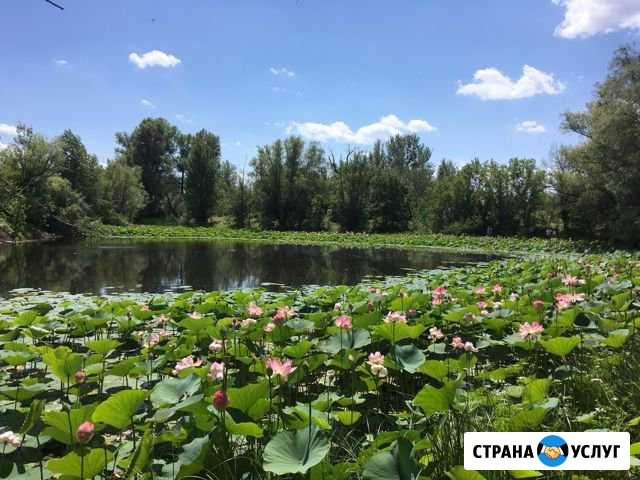 Покос травы, Вспашка земли Волгоград - изображение 1