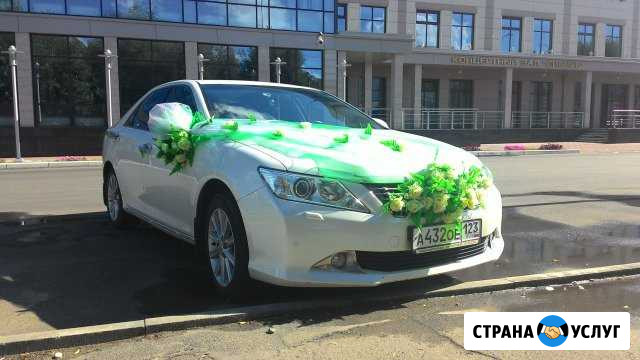 Автомобиль Камри на свадьбу Барнаул - изображение 1