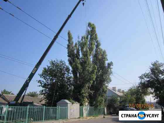 Спилим деревья любой сложности в Крыму Симферополь