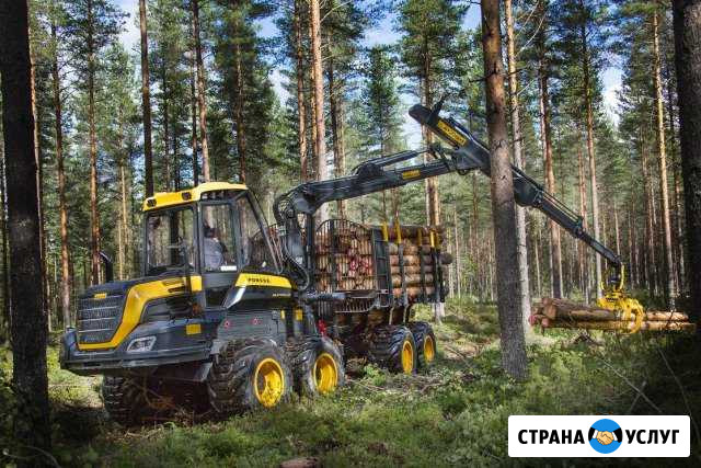 Оказываем услуги лесозаготовки (лзк) Пожва - изображение 1