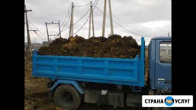 Перегной Лукоянов - изображение 1