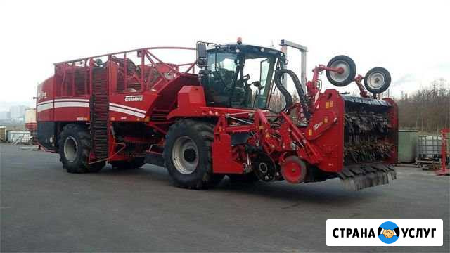 Услуги по уборке сахарной свеклы Выселки - изображение 1