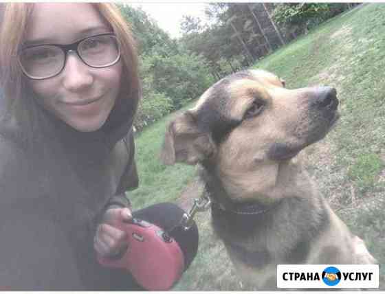 Передержка собак, кошек, грызунов Новосибирск