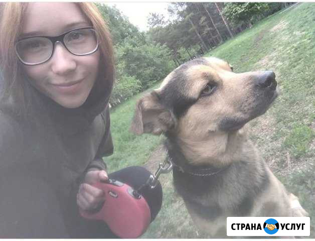 Передержка собак, кошек, грызунов Новосибирск - изображение 1