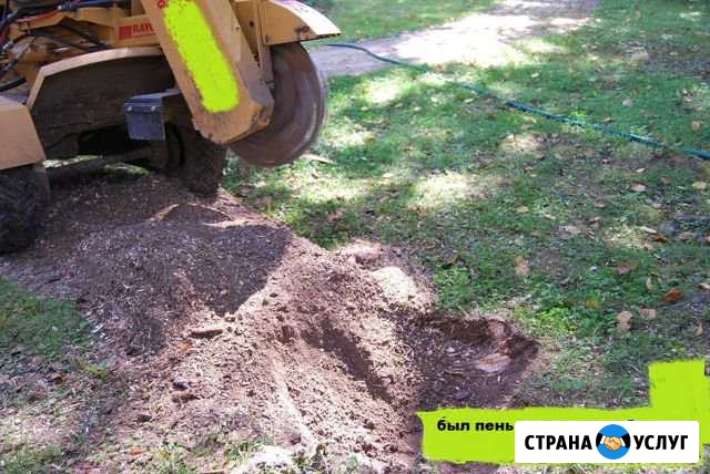 Удаление корчевание Пней Подольск - изображение 1
