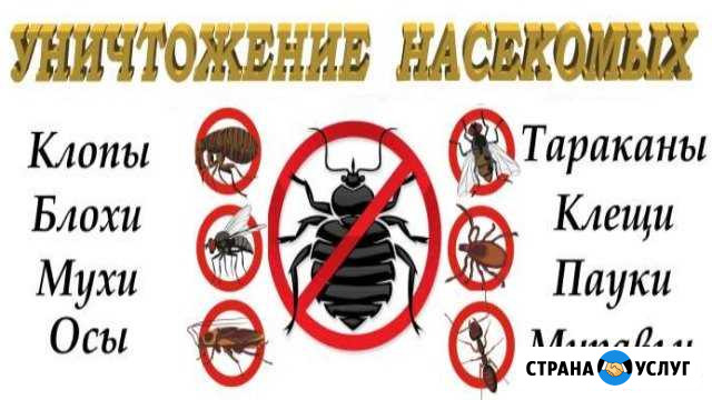 Уничтожение клещей, комаров, клопов, блох, таракан Темрюк - изображение 1