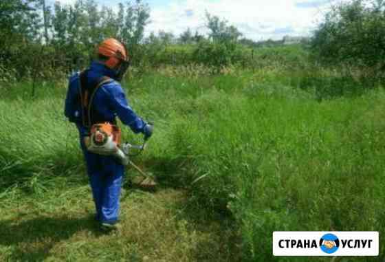 Скосим траву Верхний Ломов