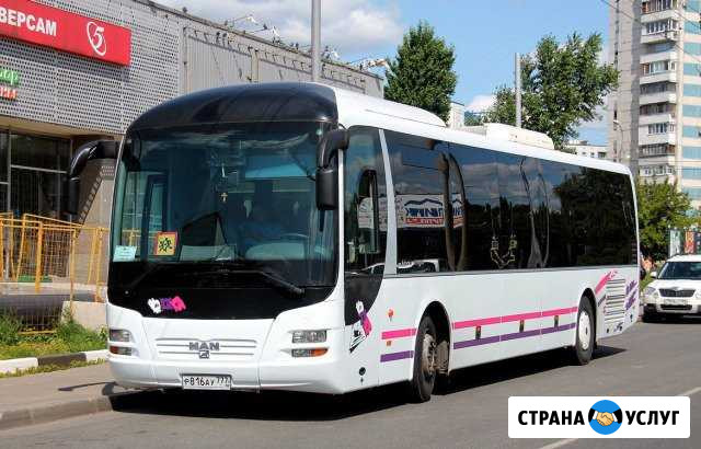 Аренда автобус 26, 30, 35 40.50 мест. Микроавтобус Санкт-Петербург - изображение 1