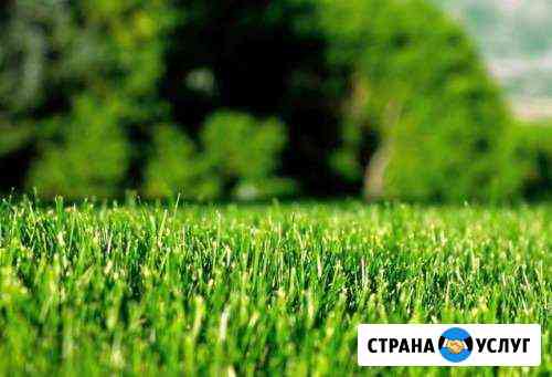 Благоустройство, газон, озеленение Краснодар