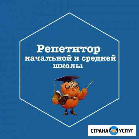 Репетитор начальной и средней школы Владикавказ