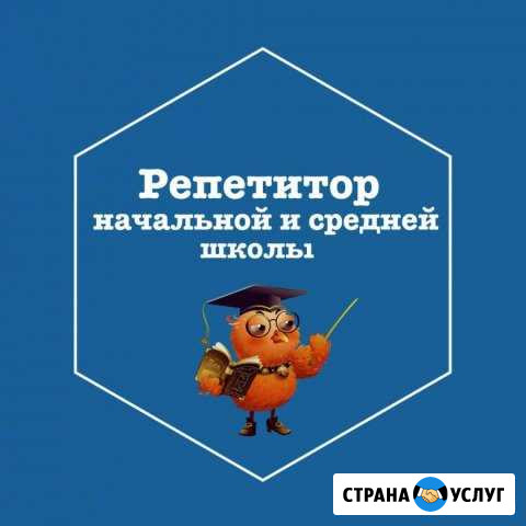 Репетитор начальной и средней школы Владикавказ - изображение 1