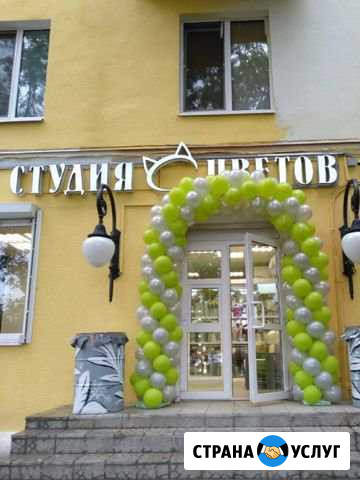 Арка из шаров Электросталь - изображение 1