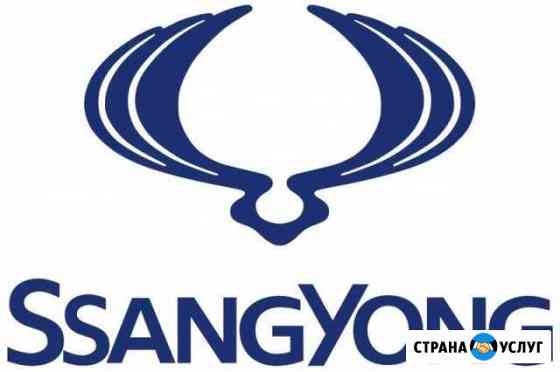 Ремонт а/м Ssang Yong (Ссанг Йонг) в Воронеже Воронеж