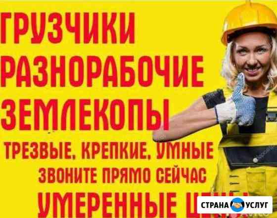 Разнорабочие Ростов-на-Дону