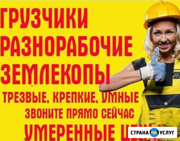 Разнорабочие Ростов-на-Дону - изображение 1