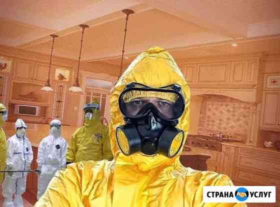Уничтожение клопов. Обработка Туманом. Дезинсекция Химки