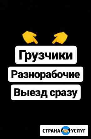 Грузчики Махачкала