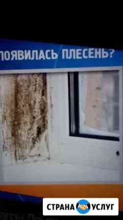 Влажность, плесень, грибок Благовещенск