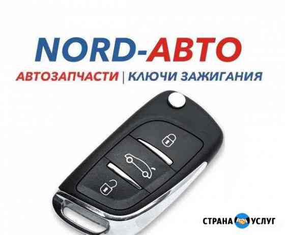 Автомобильные ключи с чипом, ключи зажигания Вологда