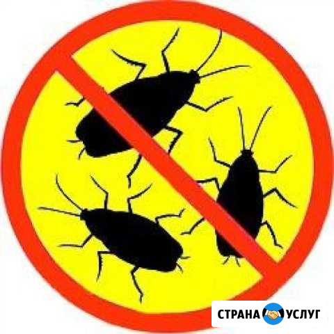 Дезинсекция,дезинфекция Батайск - изображение 1