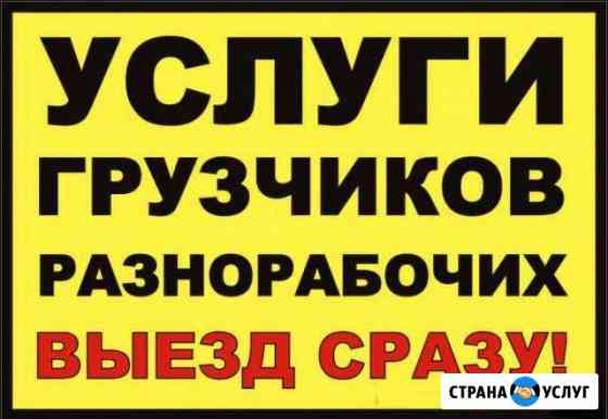 Разнорабочие Реутов