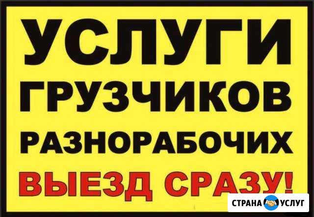 Разнорабочие Реутов - изображение 1