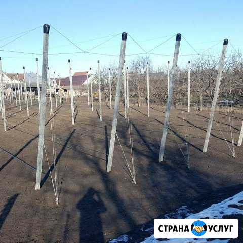 Интенсивные сады Нальчик - изображение 1